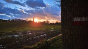 Treinstapper Schulen - Diest